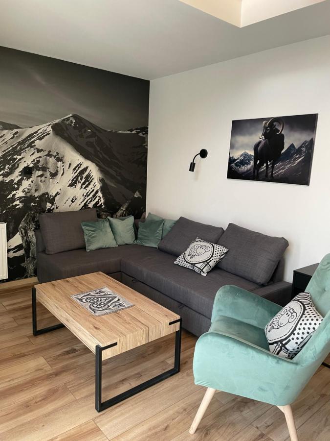 Czarny Baran Apartment ซาโกปาเน ภายนอก รูปภาพ